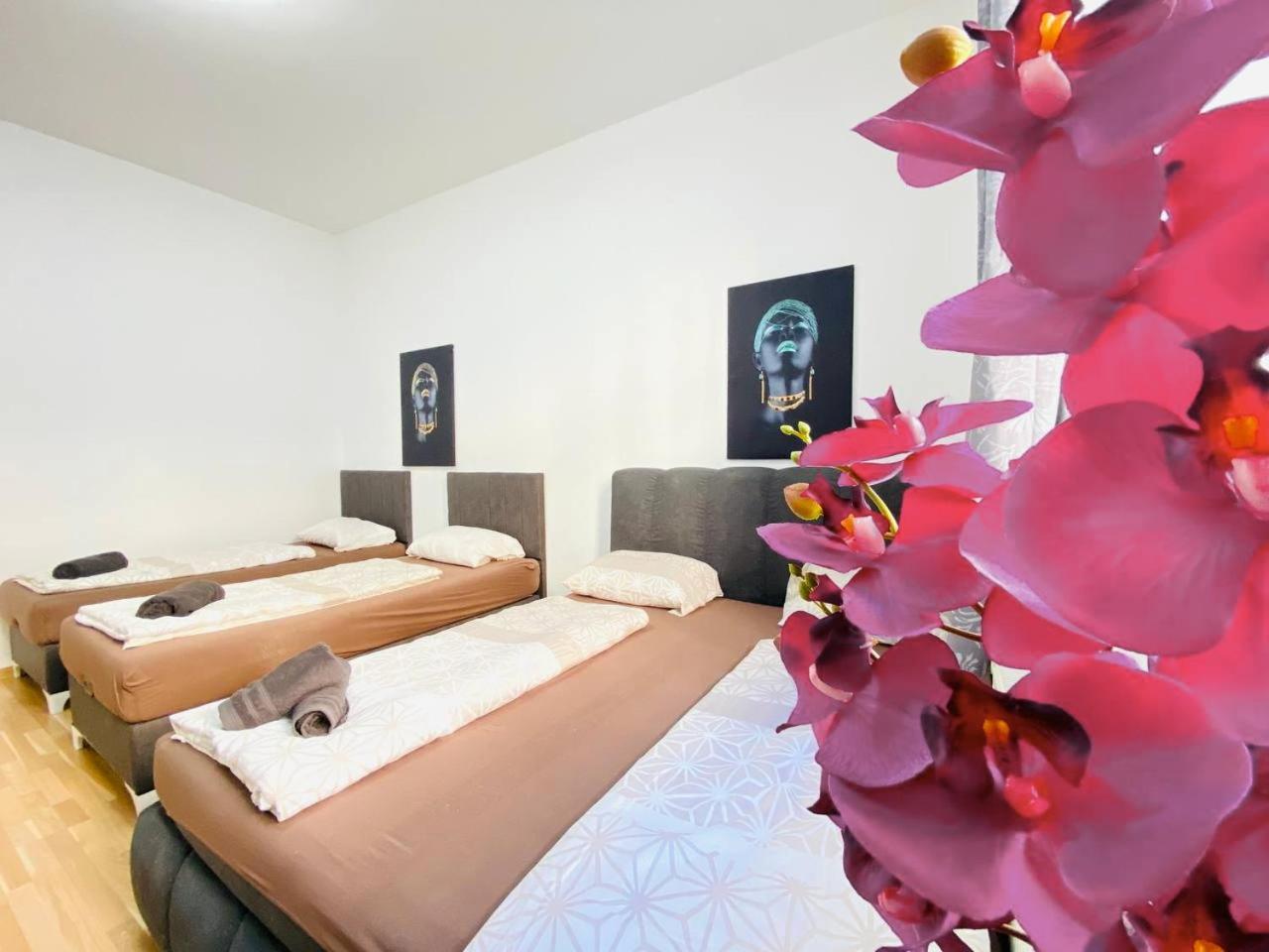 Family Studio- 7 Minutes To Schoenbrunn Palace Apartment Wien